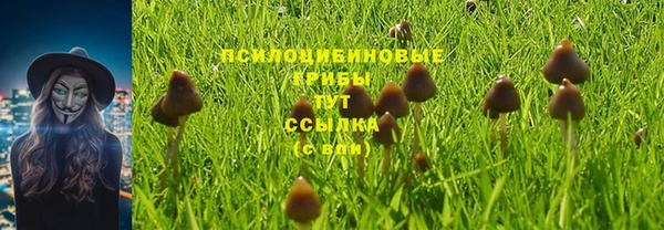 а пвп мука Абинск