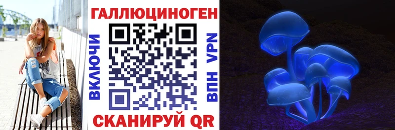 ОМГ ОМГ   Лысково  Псилоцибиновые грибы ЛСД 