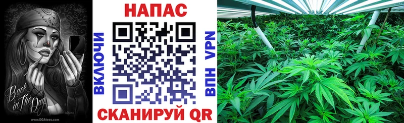 купить наркотики сайты гидра как зайти Канабис MAZAR Лысково